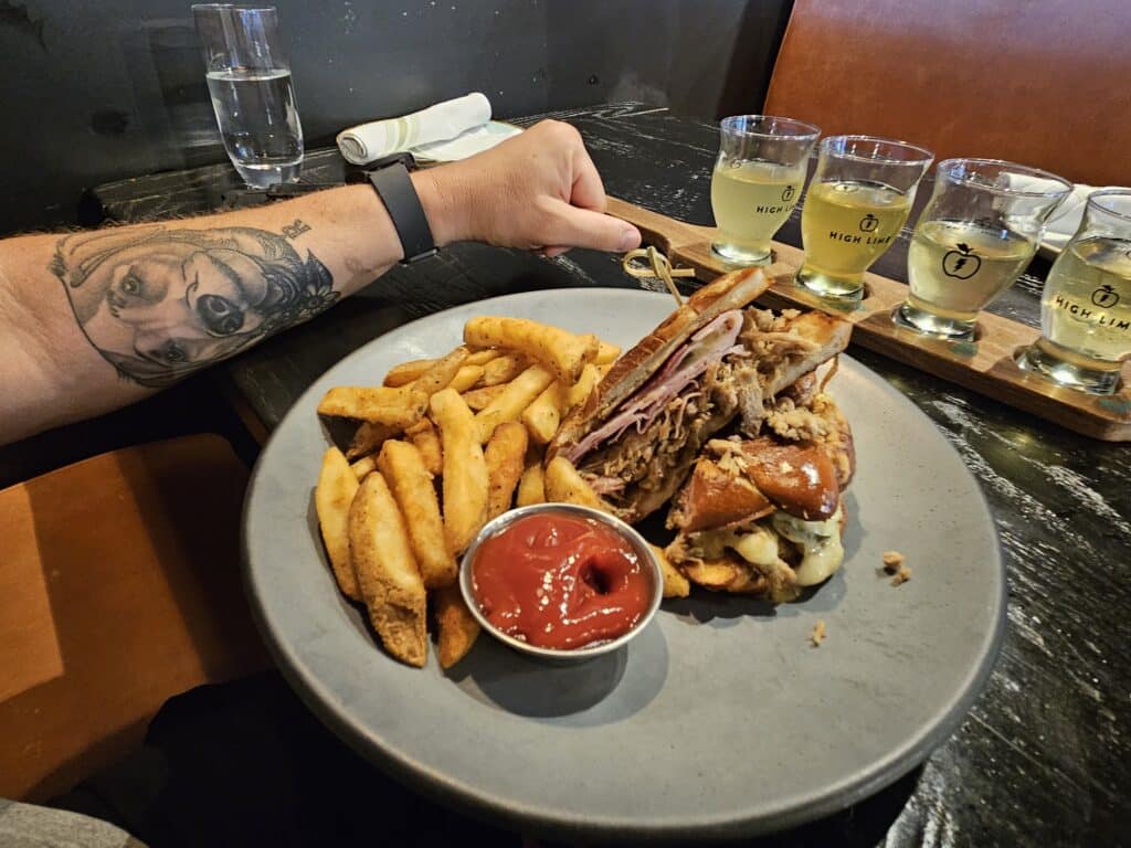 Plate with a sandwich and fries