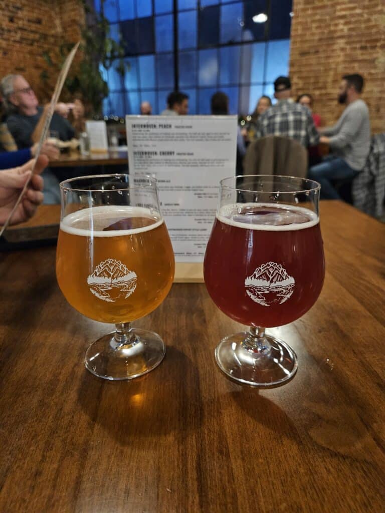 Two sours from Cacapon Mountain Brewing Company